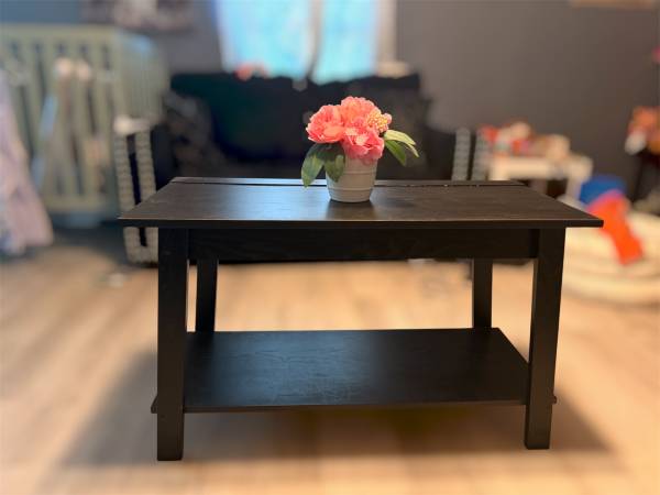 Medium size Coffee table 1