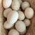 Duck eggs 1 thumbnail