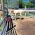 Horse boarding 5 thumbnail