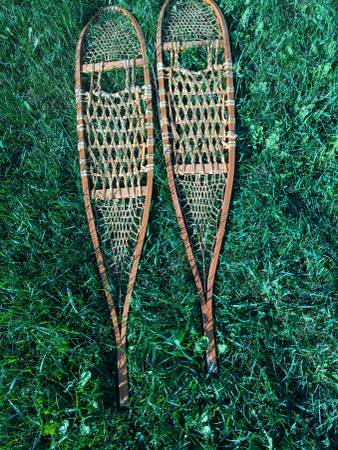 Snowshoes 1