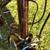 Vintage (1970’s) Raleigh Sprite 27 Nottingham Britain 1 thumbnail