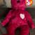 TY BEANIE BABIES 6 thumbnail