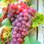Sweet Grapevine 2 thumbnail