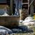 Water Features, 2 Gas Barbeque Grill Areas, Central Air Conditioning 3 thumbnail