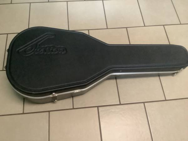 Hard shell guitar case 1