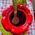 vtg red pepper ceramic jar with saucer plate and spoon 4 thumbnail