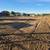 Bobcat Services - Dirt, Garden, Road Work, Rototiller, Landscape Prep 4 thumbnail