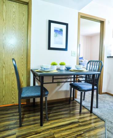 $279 / 1br - 383ft2 - 😎😎 1BEDROOM UNITS- FULLY FURNISHED- UTILITIES INCLUDED! 9519 FOREST (Dallas)63796529034753123