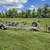 Eagle large tandem roller boat trailer 1 thumbnail