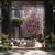 Discover Luxury Living in Crown Heights Brooklyn 11 thumbnail