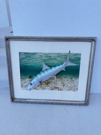 3d bone Fish by New Wave Wall Art 1