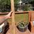 Rainstick- Large 1 thumbnail
