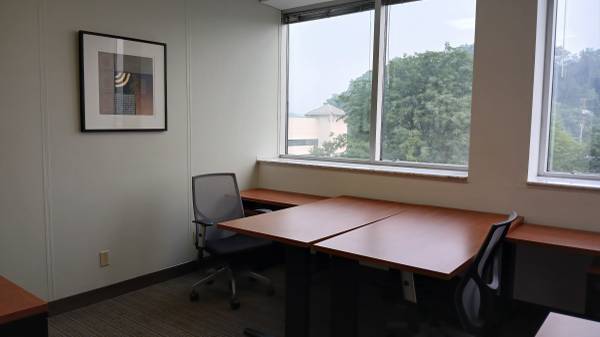 The Office You Need Without the Commitment You Don't 1