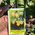 Orange trees 10 thumbnail