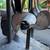 Johnson 6hp Outboard 6R-69M 6 thumbnail
