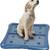 Dog Pad Holder Mesh Training Tray 1 thumbnail