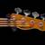 Vincent Pony Short Scale Mustang Bass 7 thumbnail