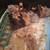 Turkey poults 1 thumbnail