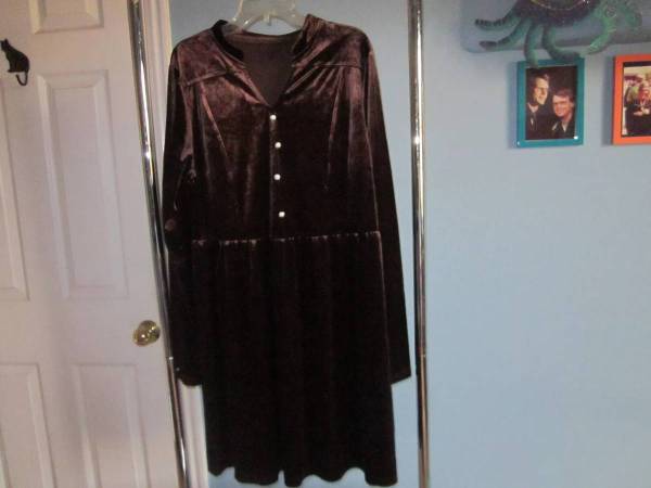 velvet dress- brand new 1