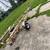 Boat trailers 2 thumbnail