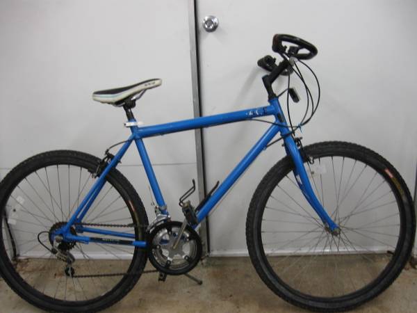 Painted bike 1