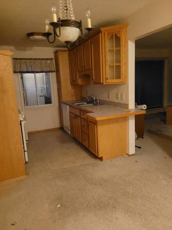 1 br/1 bath condo - needs work 1