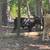 Calves 3 thumbnail