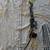 Compound bow 1 thumbnail
