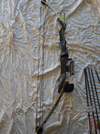 Compound bow 1
