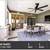 Just right for you! A gorgeous 1 bed 1 bath apartment awaits! 2 thumbnail