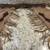 Leather Chaps & Western Rope 2 thumbnail