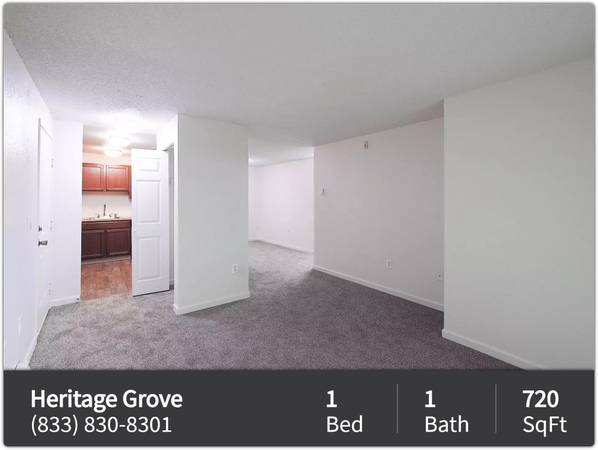Spacious 1 Bedroom floorplans! Come see our great community! 1