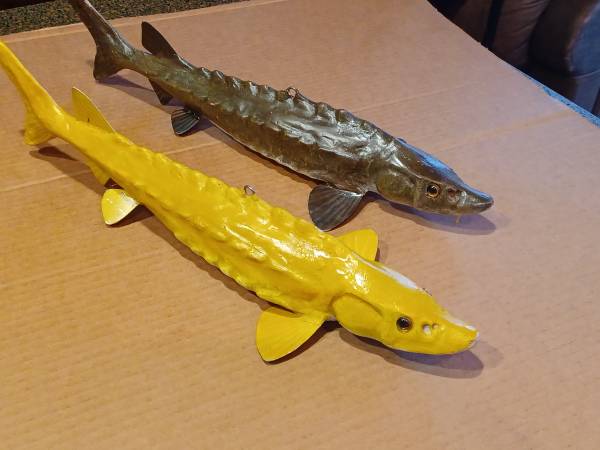 Sturgeon decoys 1