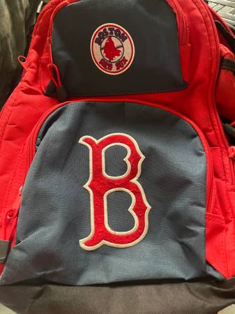 Backpacks and lunch boxes-set of 10 1