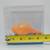 RARE Friendly Floatees BEAVER Bath Toy ~ 1992 Duck Spill OCEANOGRAPHY 22 thumbnail