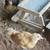 Chicks 2 thumbnail