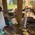 Chicks 2 thumbnail