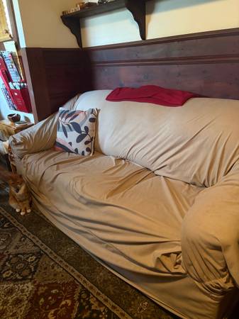 Large couch 1