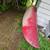 Canoe 9 thumbnail