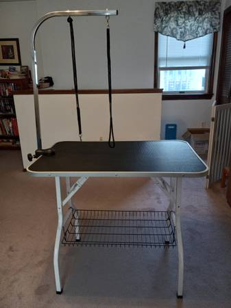 Dog Grooming Table 1