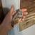 Button Quail 1 thumbnail