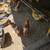 Laying hens 2 thumbnail