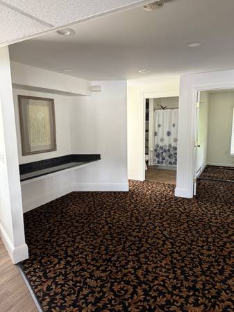 $3,300 / 3br - 1350ft2 - Short-Term Furnished Rental (Rochester)63931922834691122