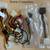 Computer cables, internet, DVI, PlantroniUSB2, VGA, PS2, ATA, adapters 3 thumbnail
