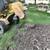 🌳 STUMP GRINDING • FAST • CLEAN • AFFORDABLE • CLEVELAND AREA 🌳 5 thumbnail
