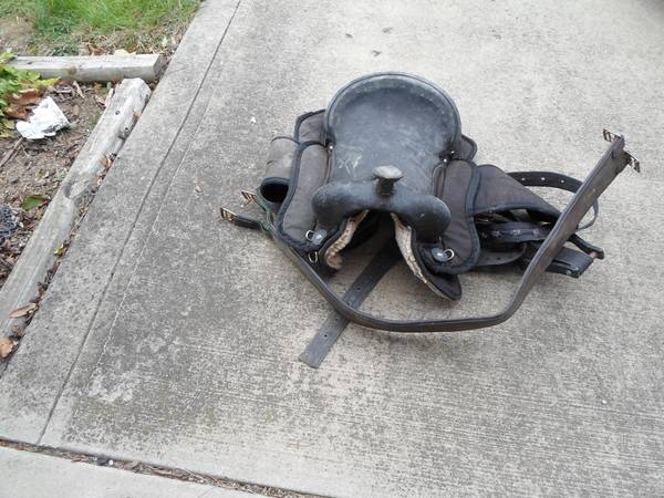 Saddle 1