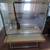 52" Pixie Glass Bird Cage!Plus 6 Parakeets! 1 thumbnail