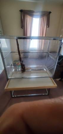 52" Pixie Glass Bird Cage!Plus 6 Parakeets! 1