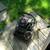 Power Washer 2 thumbnail