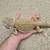 Animals 4 thumbnail